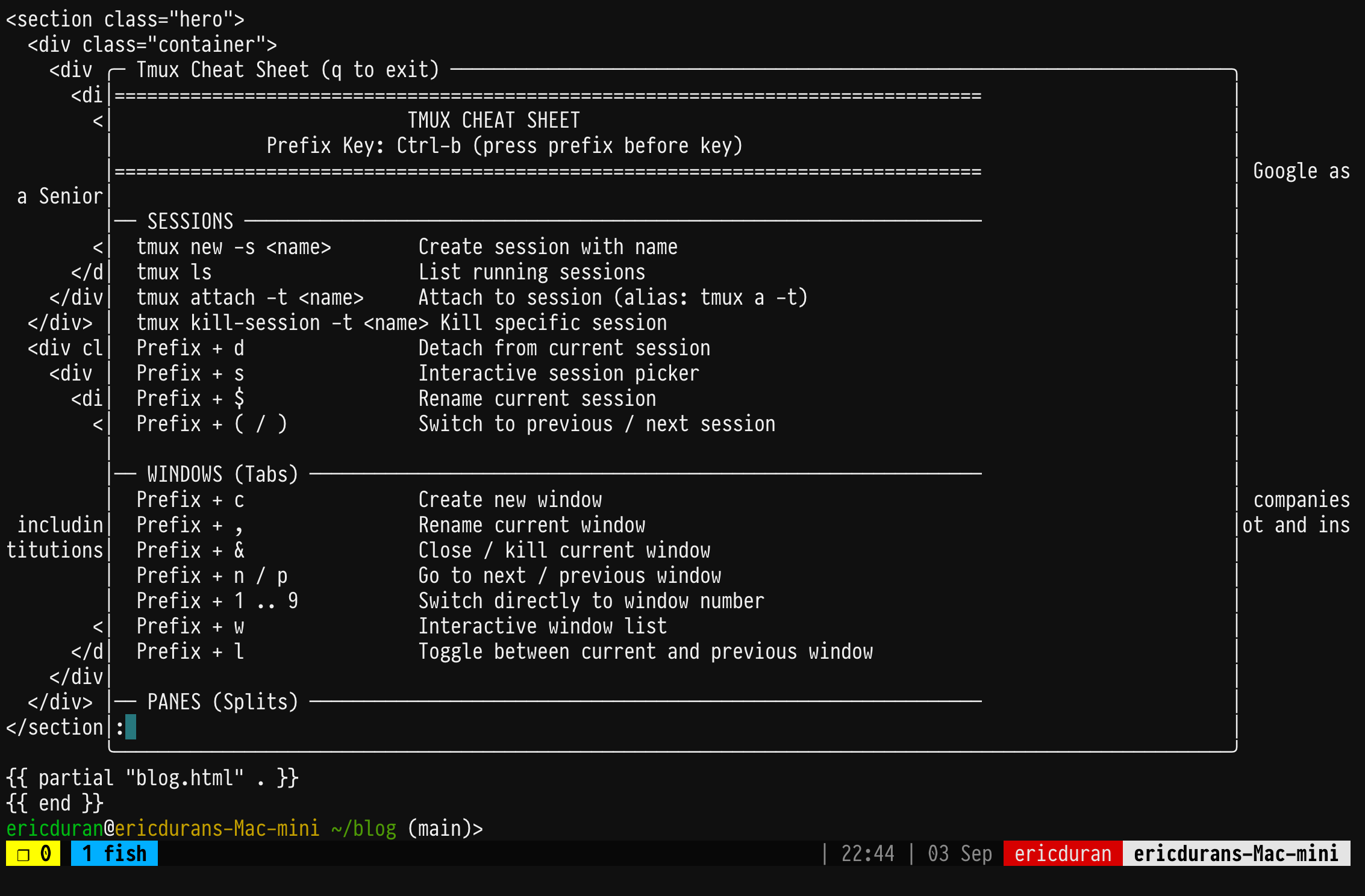 tmux popup on ipad mini